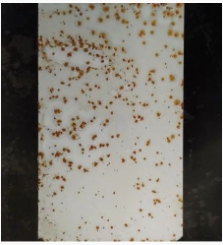 Ϳ���÷��W�P������Щ�N���οƌWʹ�ã� Ϳ���ھ�,coatingol.com