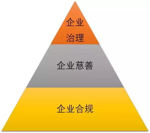 社會問題驅動商業創新 MSC咨詢創始人兼CEO譚亞幸的社會經濟咨詢服務探索